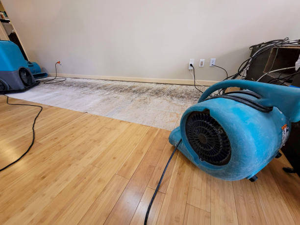 Professional Water Damage Repair technician working in Idaho, ID